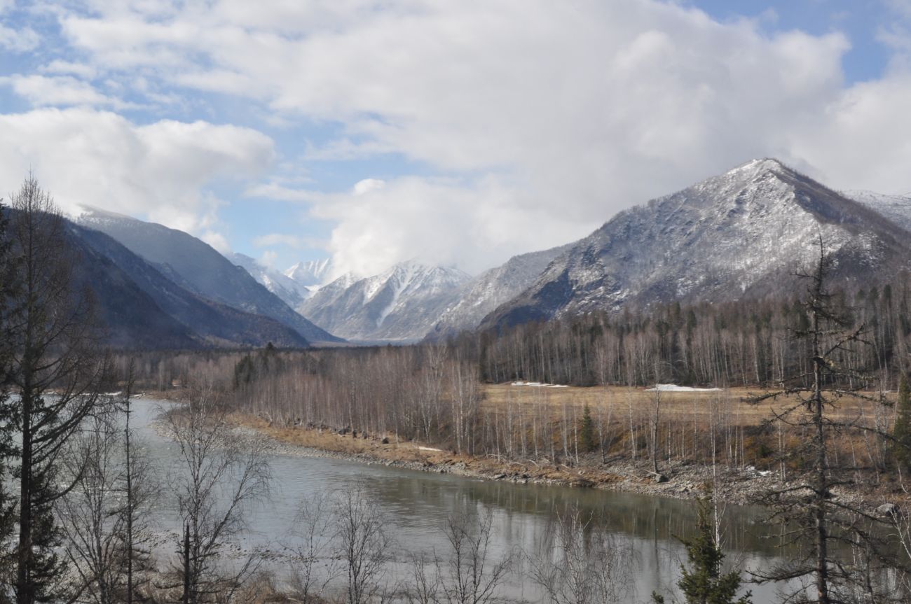 Окрестности села Тюнгур, image of landscape/habitat.