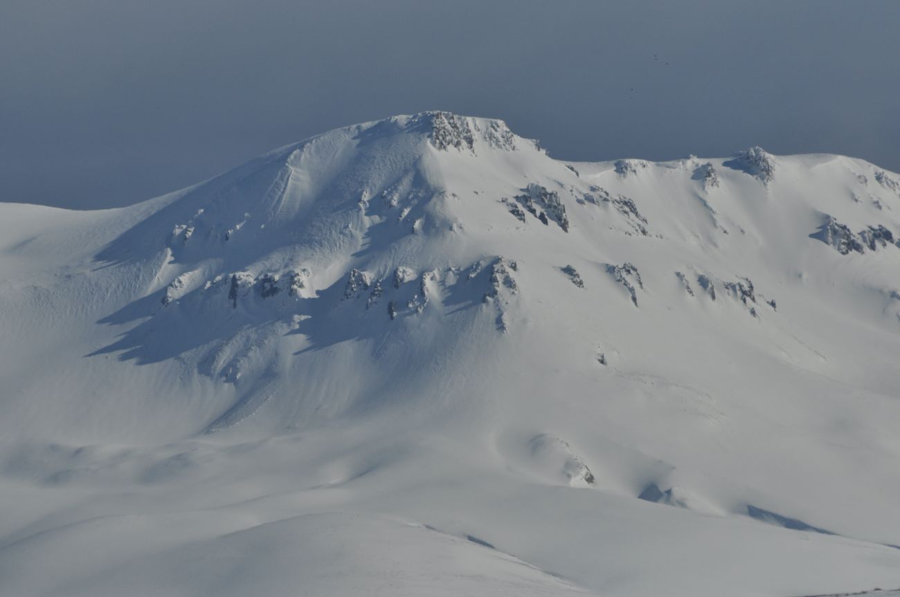 Окрестности села Сенемоглу, image of landscape/habitat.