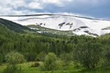 Верховья реки Правая Сарала, image of landscape/habitat.