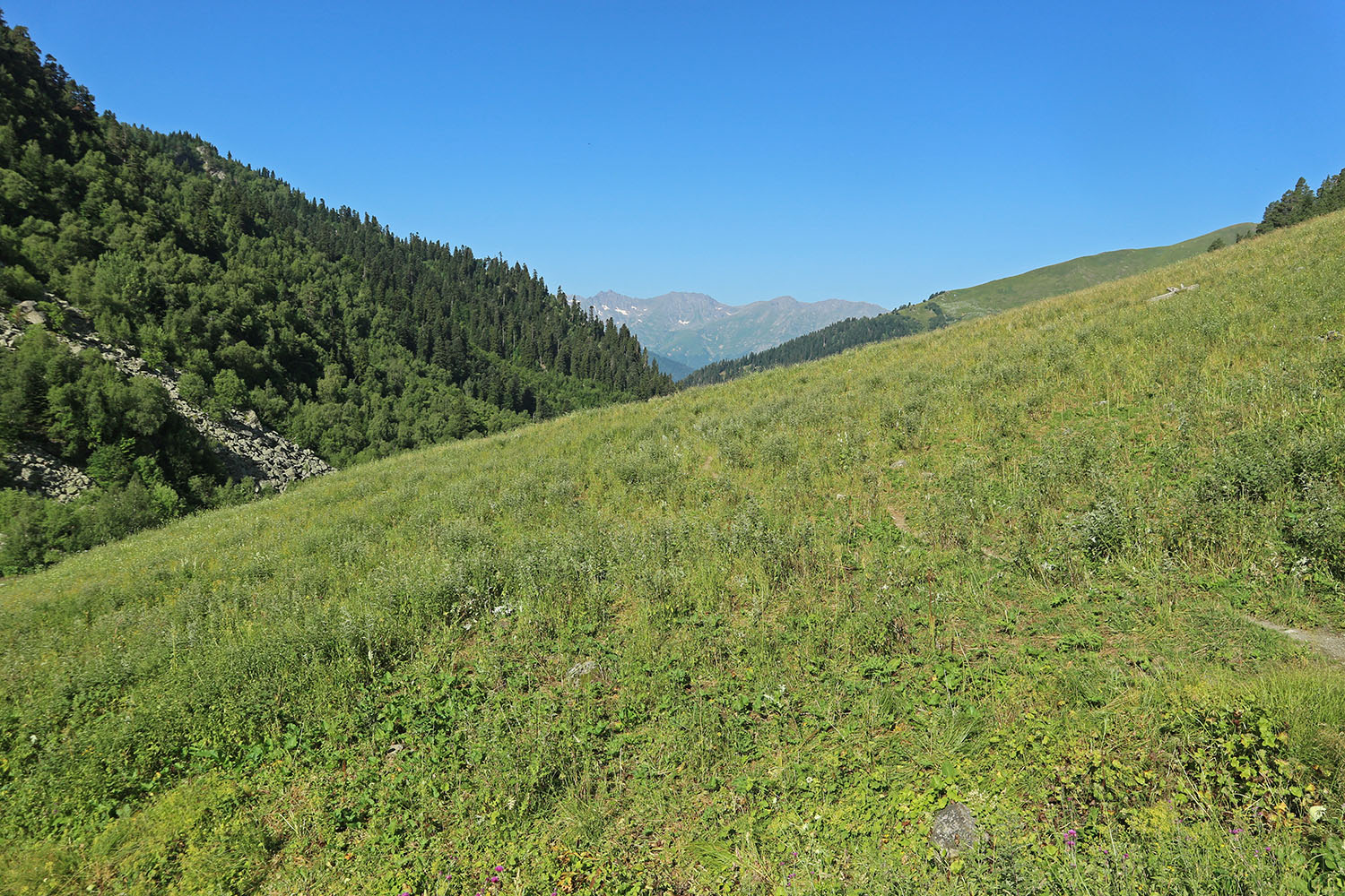 Долина реки Загедан, image of landscape/habitat.