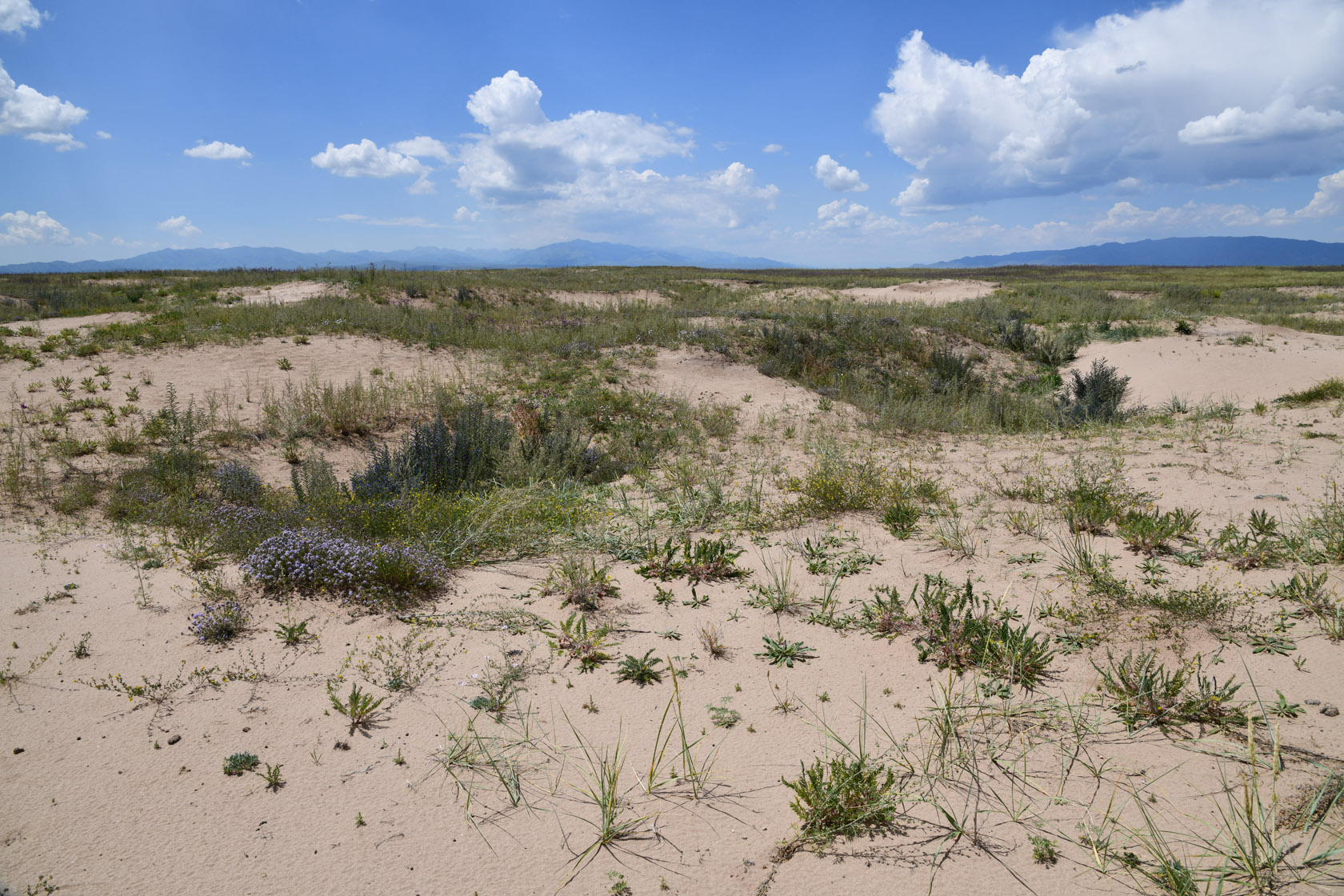 Кум-Текей, image of landscape/habitat.