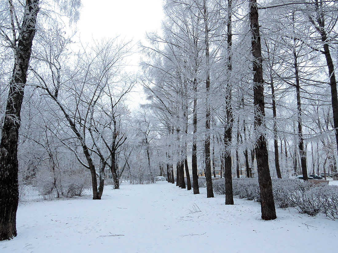 Верхняя Терраса и окрестности, image of landscape/habitat.