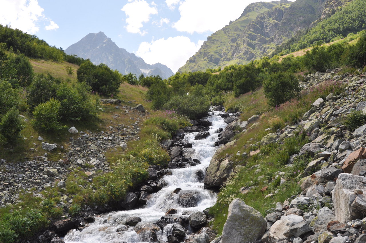 Окрестности города Теберда, image of landscape/habitat.