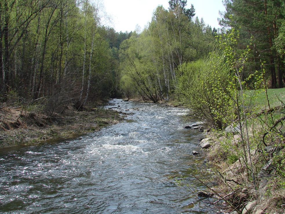 Река Куйтун, image of landscape/habitat.