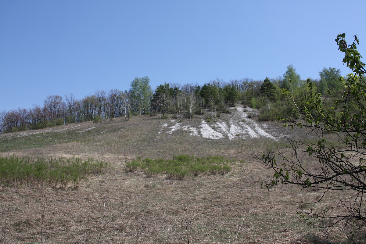 Стенки Изгорья, image of landscape/habitat.