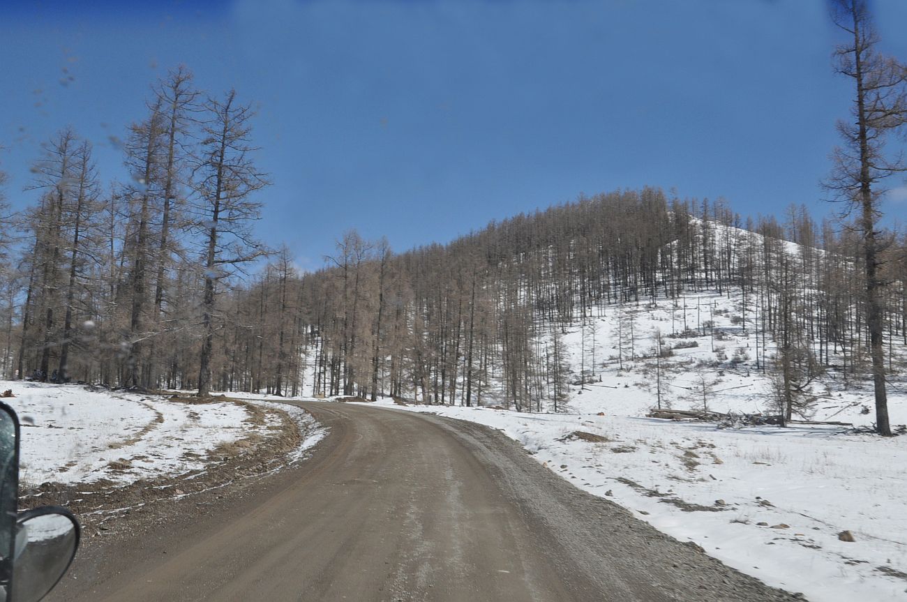 Кырлыкский перевал, image of landscape/habitat.