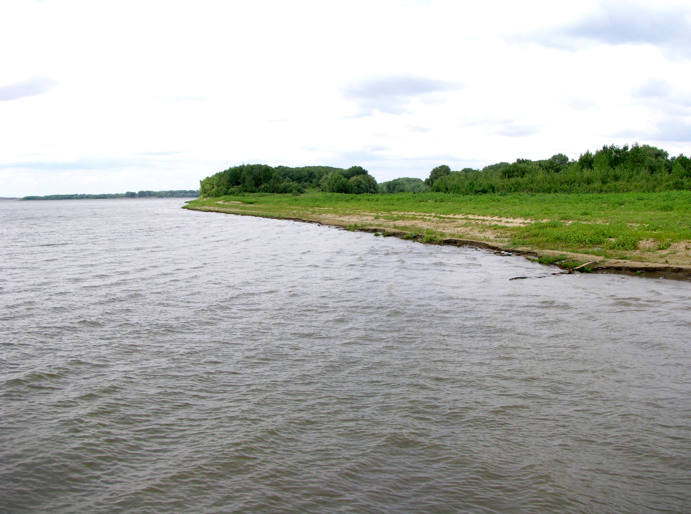 Волго-Ахтубинская пойма, image of landscape/habitat.