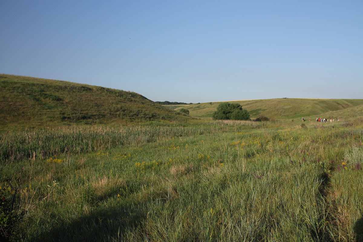 Острасьев Яр, image of landscape/habitat.