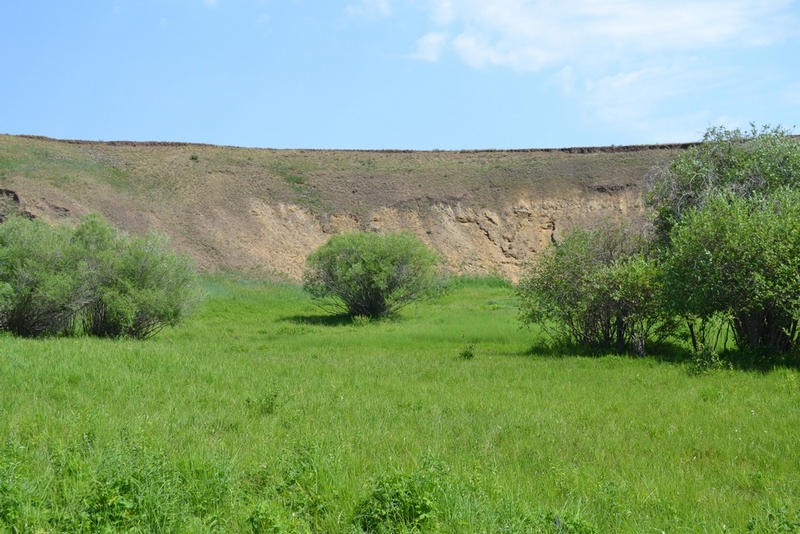 Боржигантай, image of landscape/habitat.