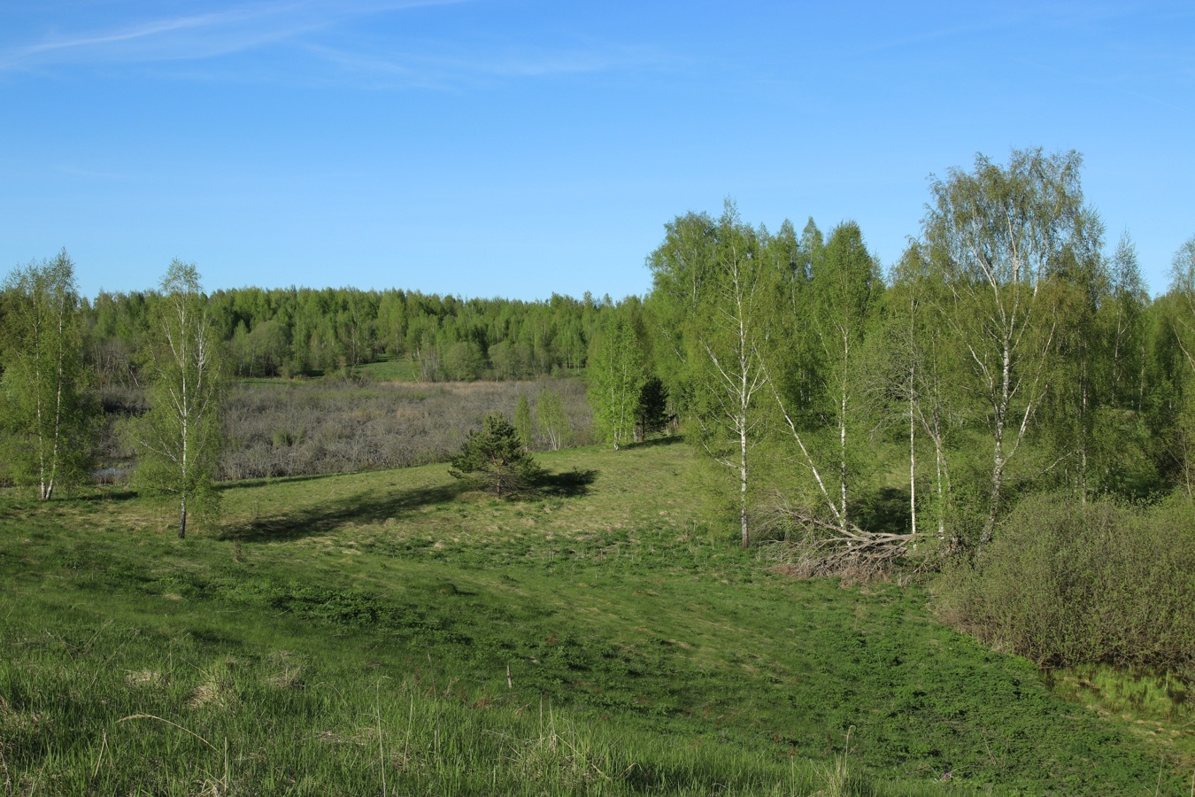 Окрестности Худоярово, image of landscape/habitat.