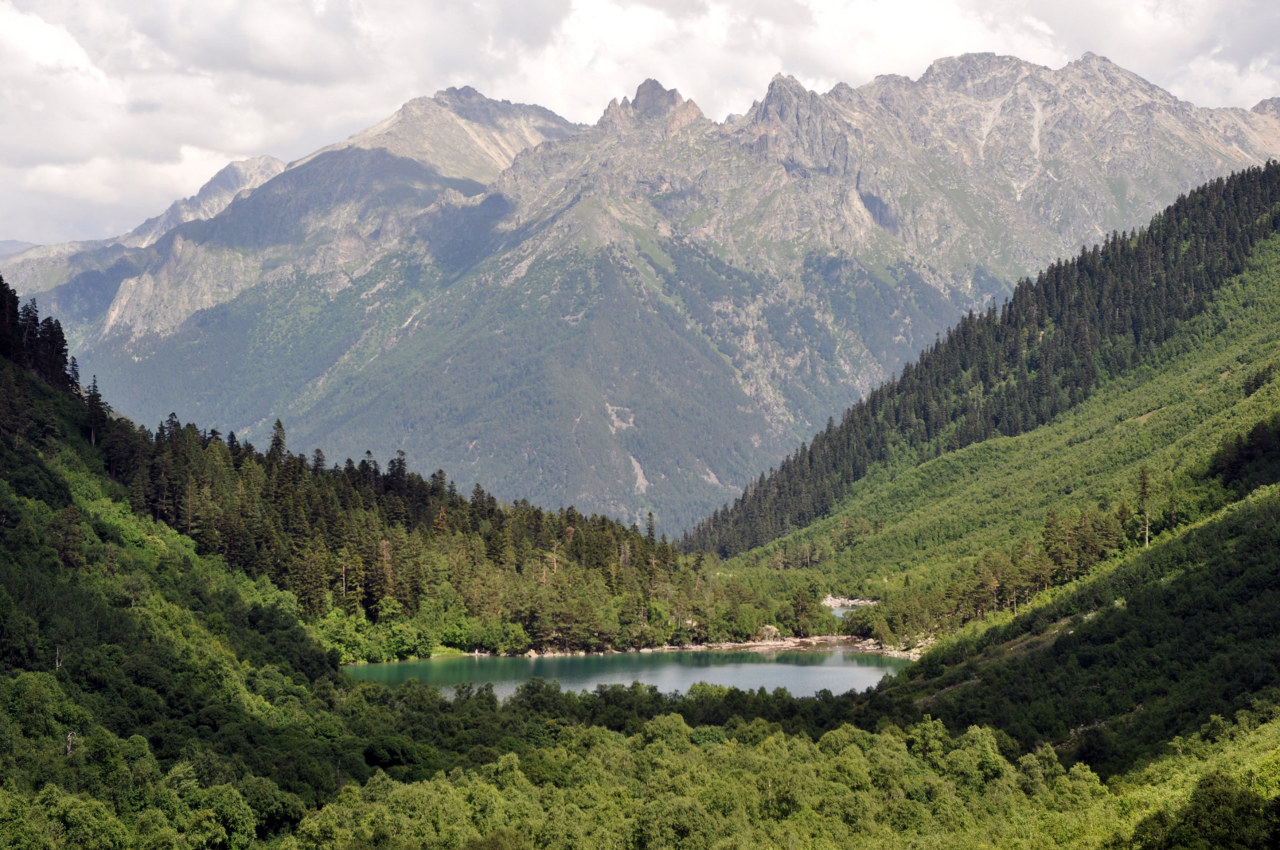 Окрестности города Теберда, image of landscape/habitat.