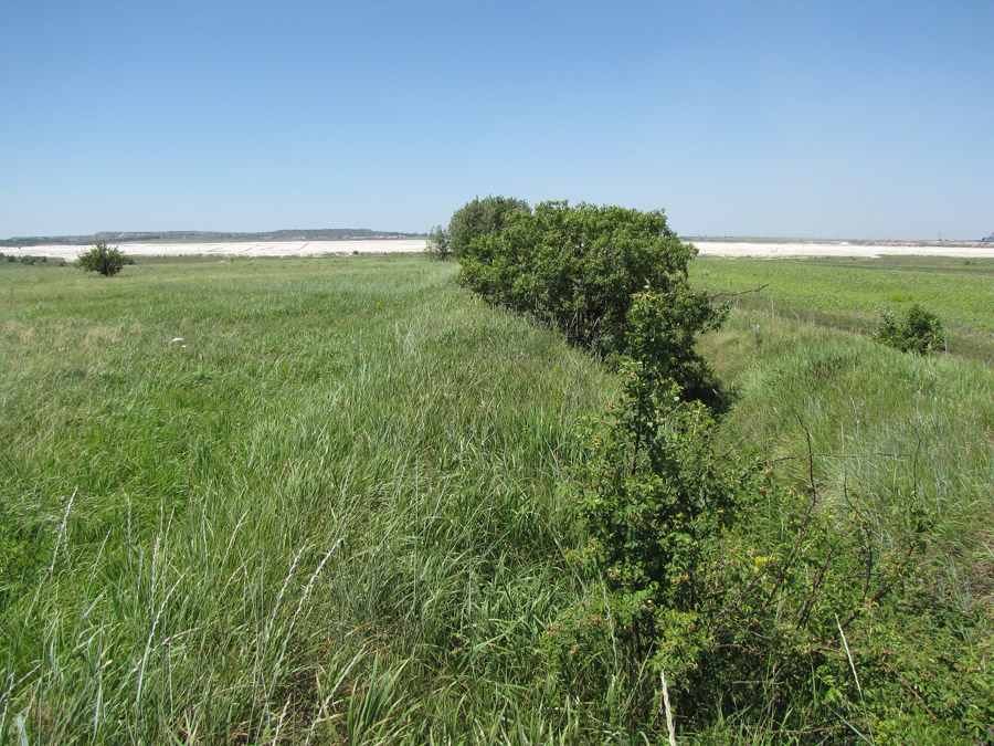 Дубровка, image of landscape/habitat.