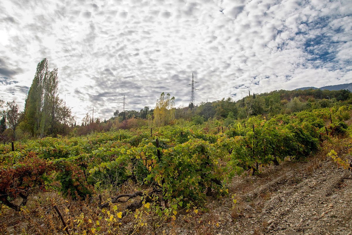 Урочище Парагильмен, image of landscape/habitat.