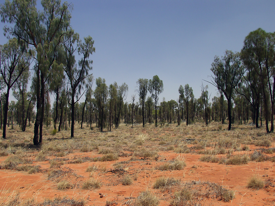 Rainbow Valley, image of landscape/habitat.