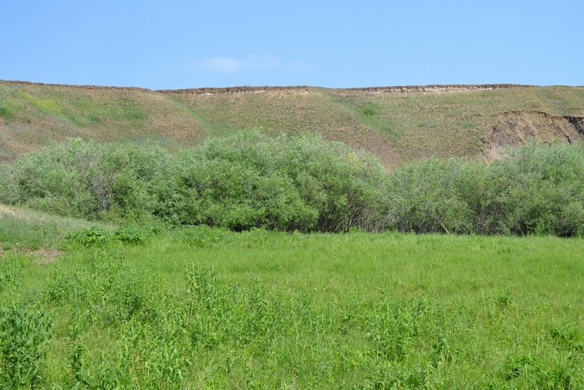 Боржигантай, image of landscape/habitat.