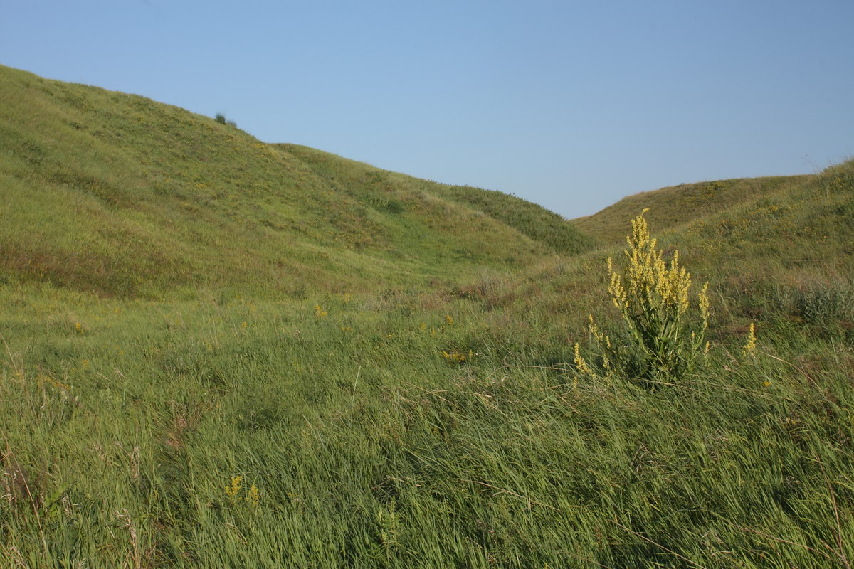 Острасьев Яр, image of landscape/habitat.