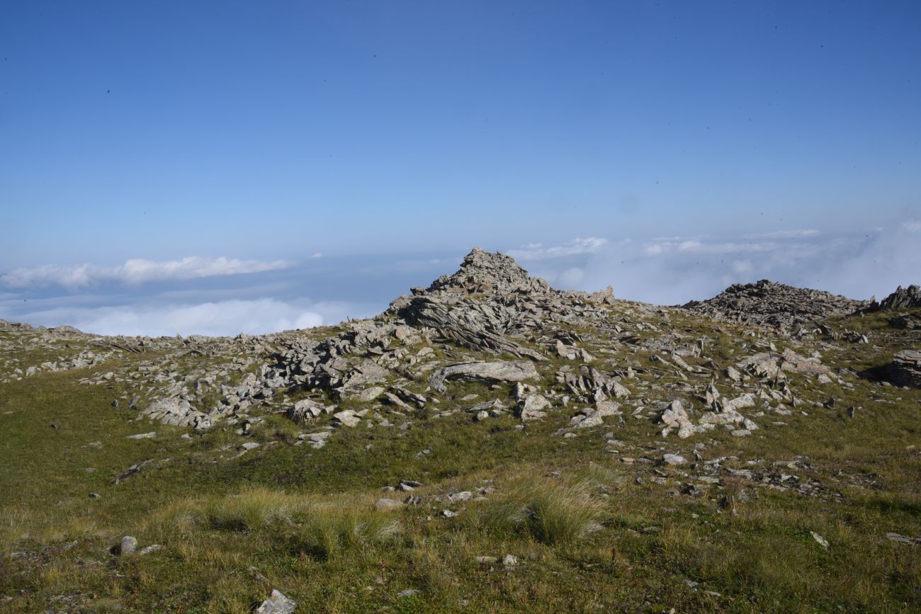 5 км от Цумандинского перевала, image of landscape/habitat.