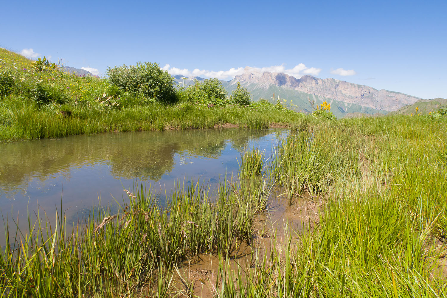 Озеро на склоне Айдарука-Цырт, image of landscape/habitat.