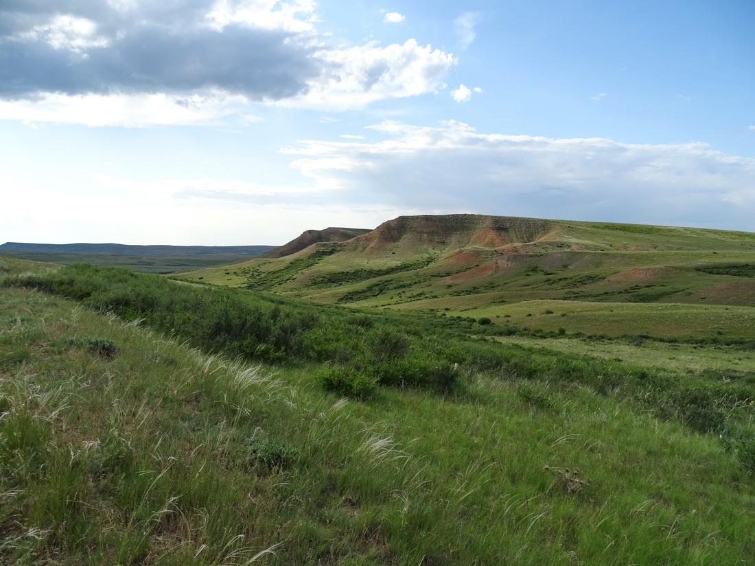 Калмакпай, image of landscape/habitat.