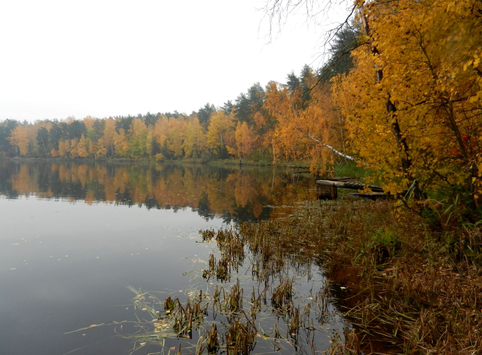 Озеро Луково, image of landscape/habitat.