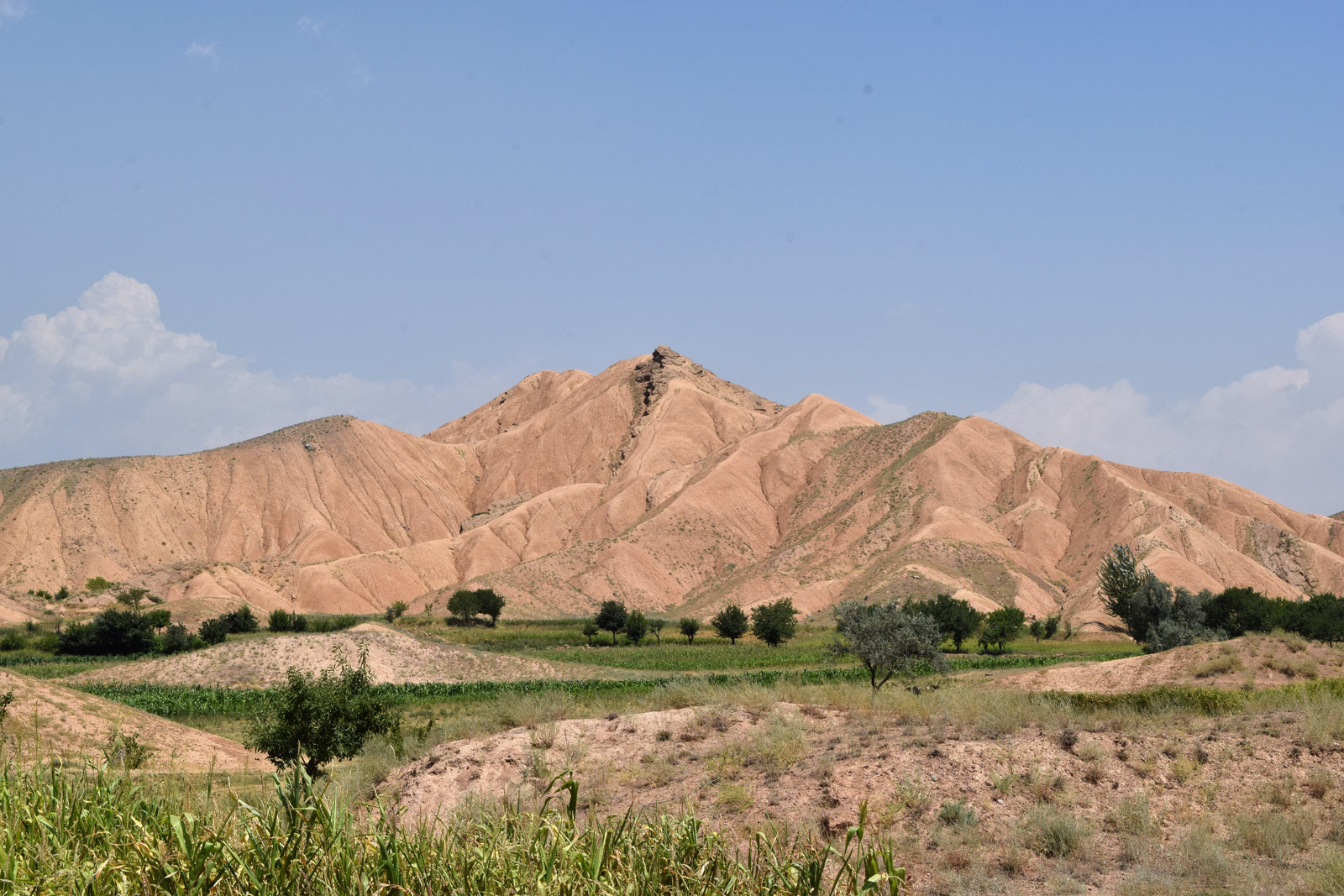 Окрестности водохранилища Варзик, image of landscape/habitat.