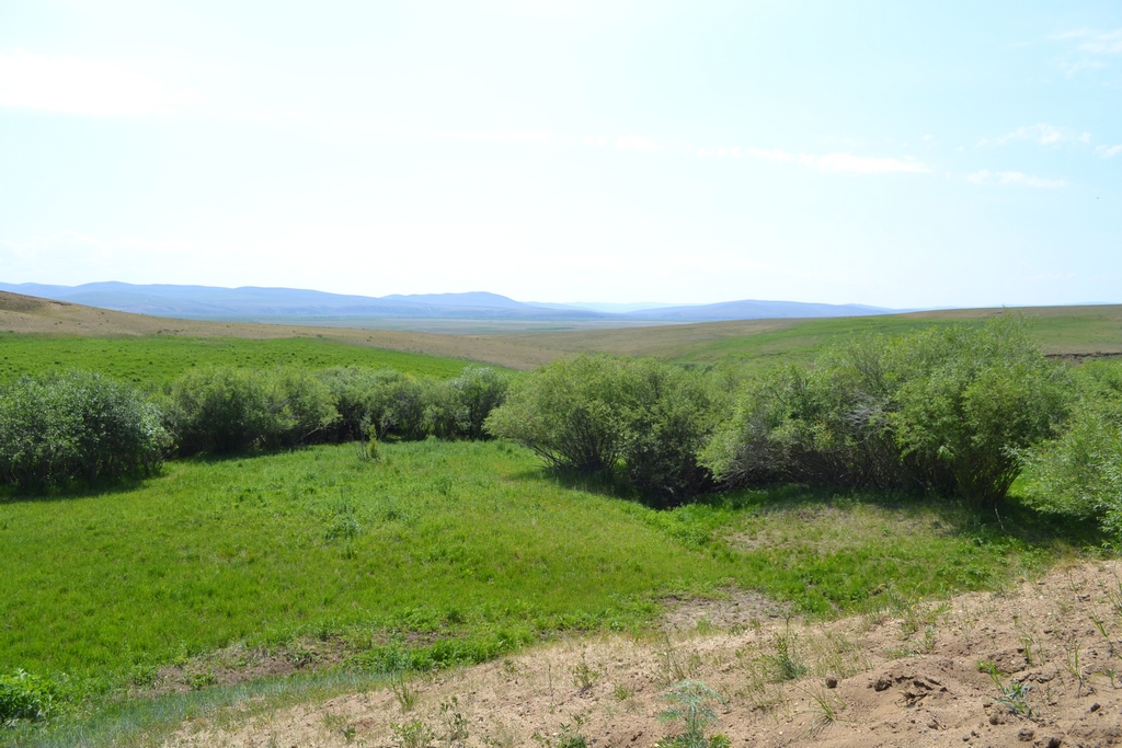 Боржигантай, image of landscape/habitat.