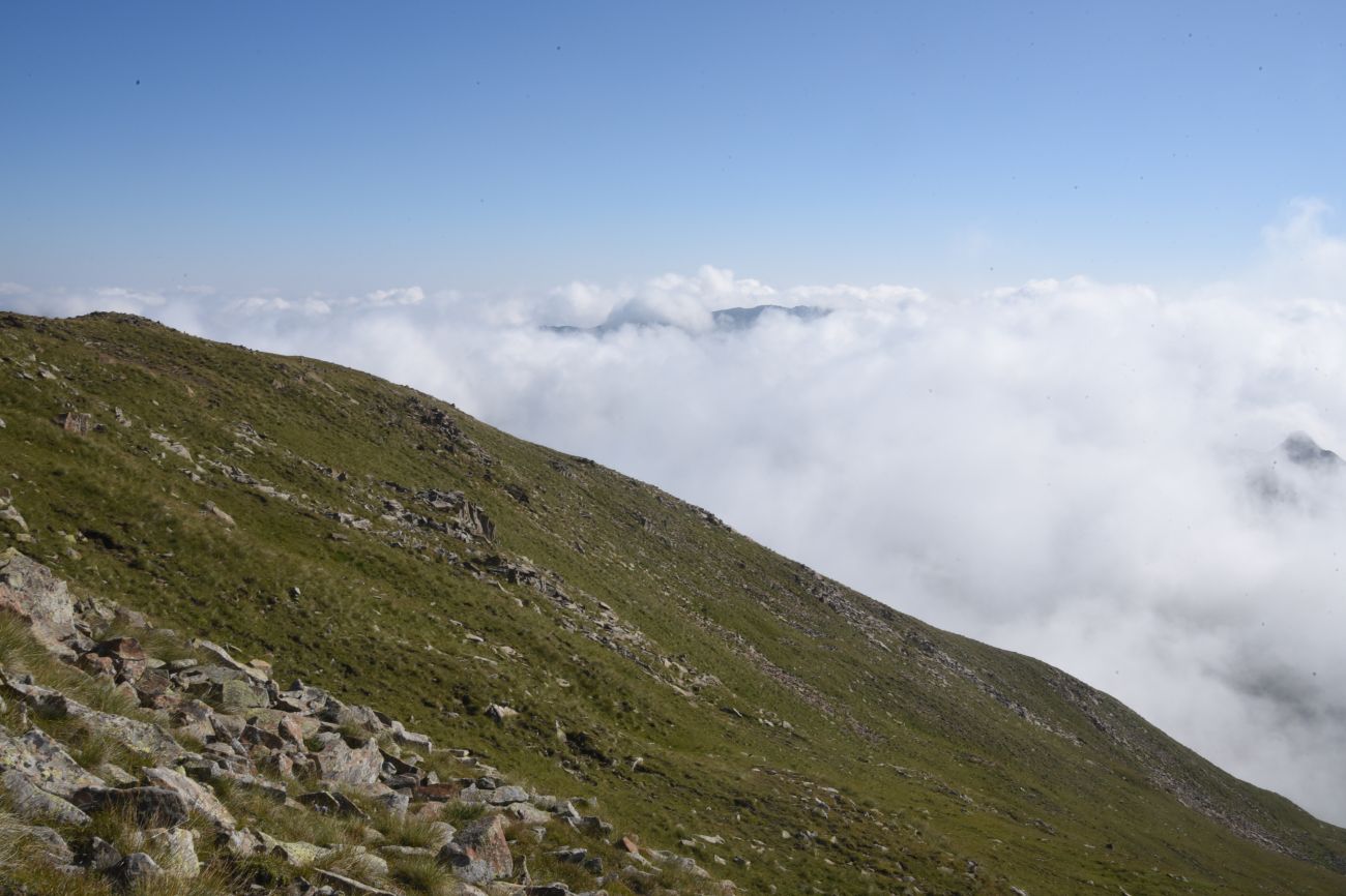 5 км от Цумандинского перевала, image of landscape/habitat.