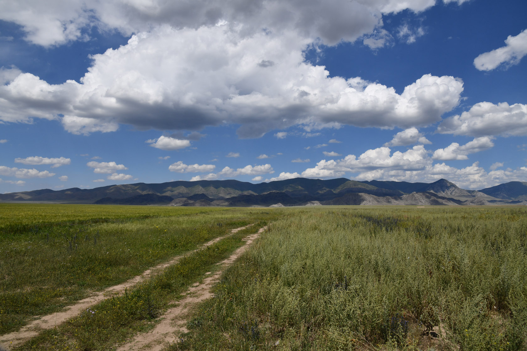 Кум-Текей, image of landscape/habitat.