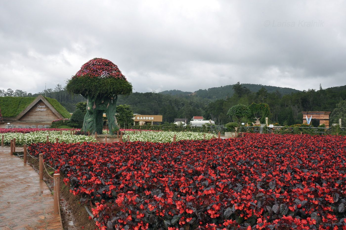 Далат, image of landscape/habitat.