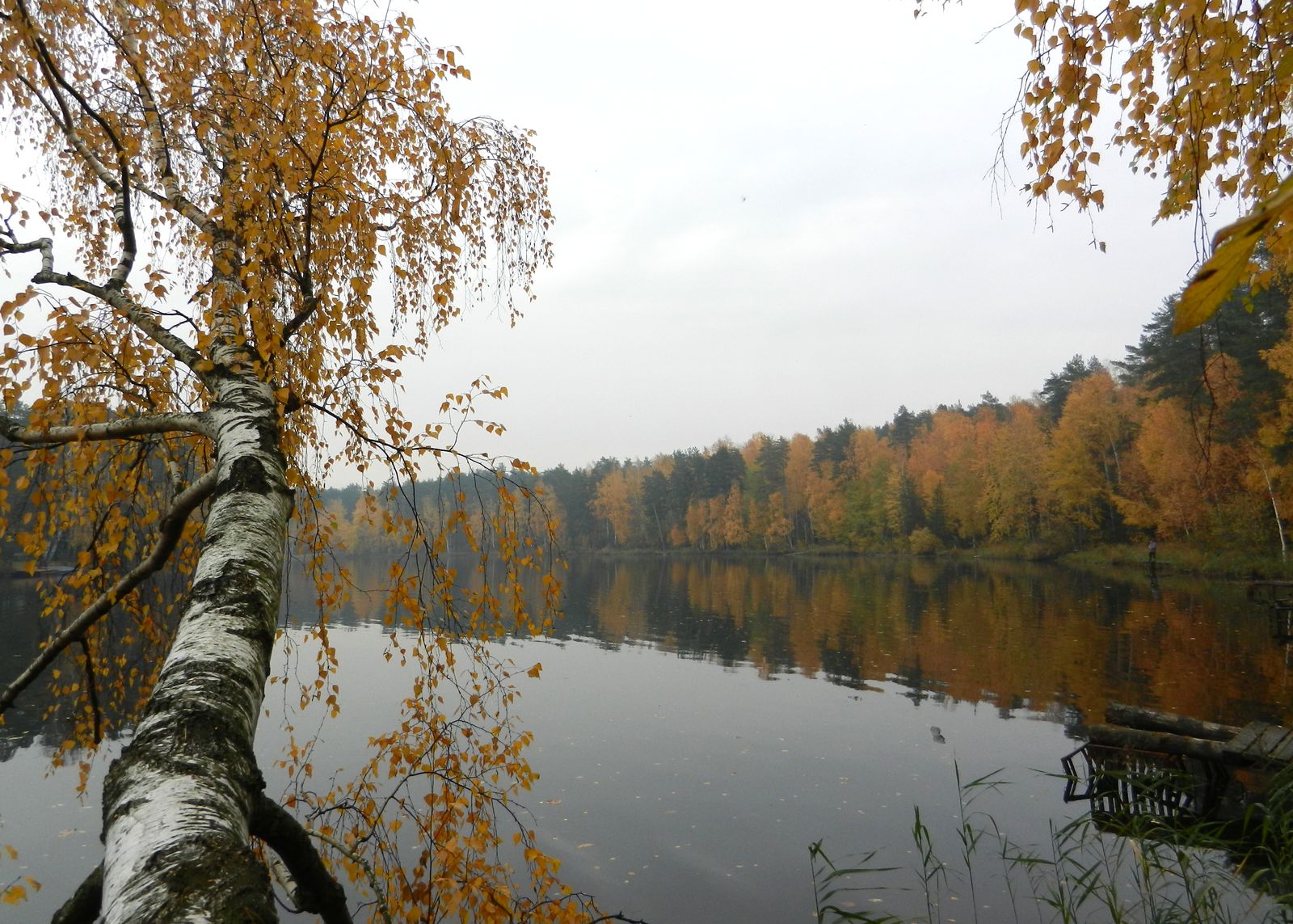 Озеро Луково, image of landscape/habitat.