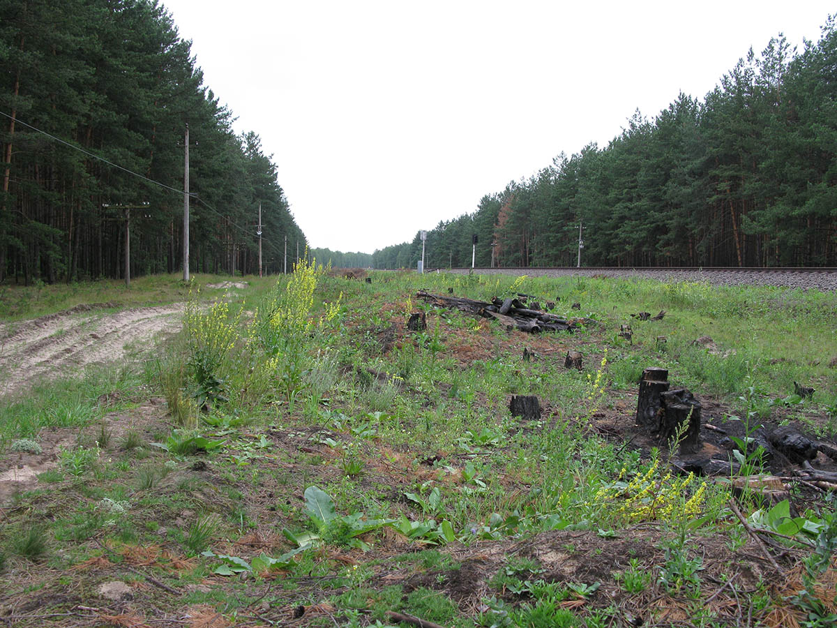 Жидеевская дача, image of landscape/habitat.