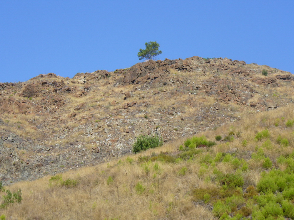 Кириш и окрестности, image of landscape/habitat.