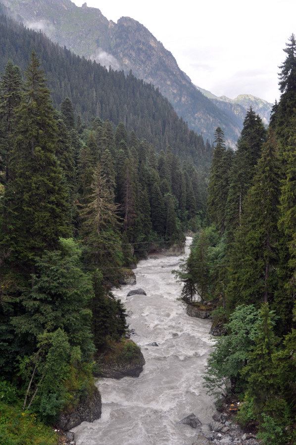 Окрестности поселка Домбай, image of landscape/habitat.