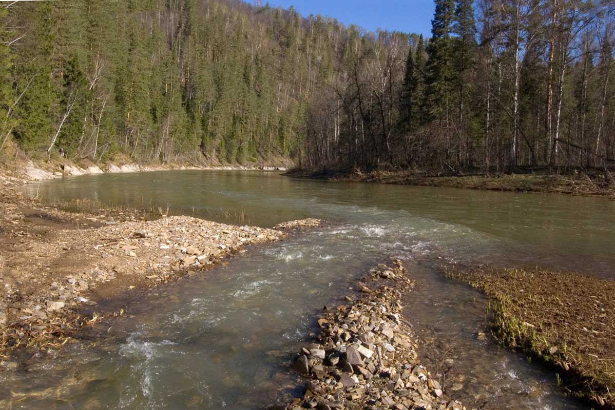 Окрестности горы Мамбет, image of landscape/habitat.