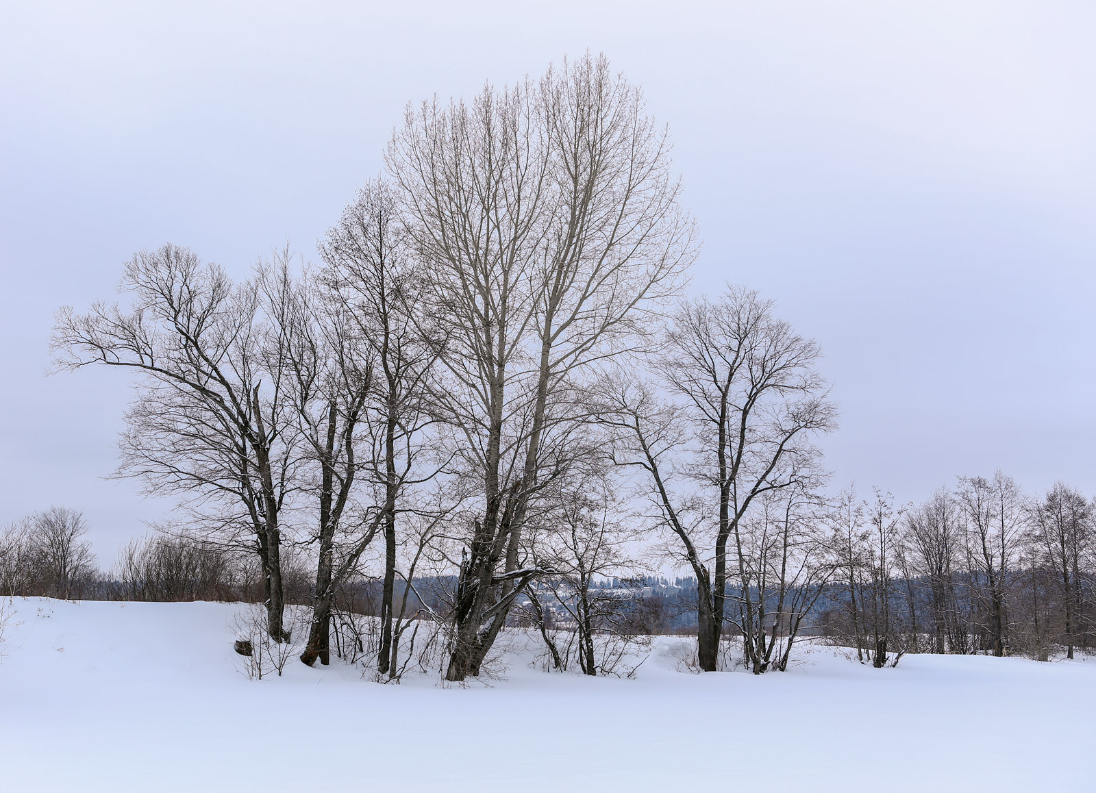 Закамск, image of landscape/habitat.