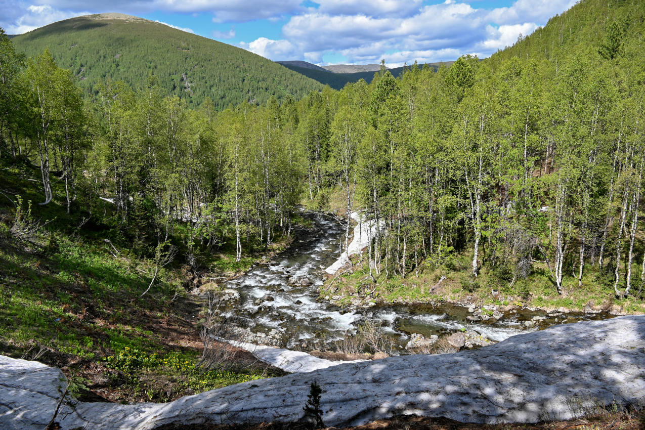 Верховья реки Правая Сарала, image of landscape/habitat.