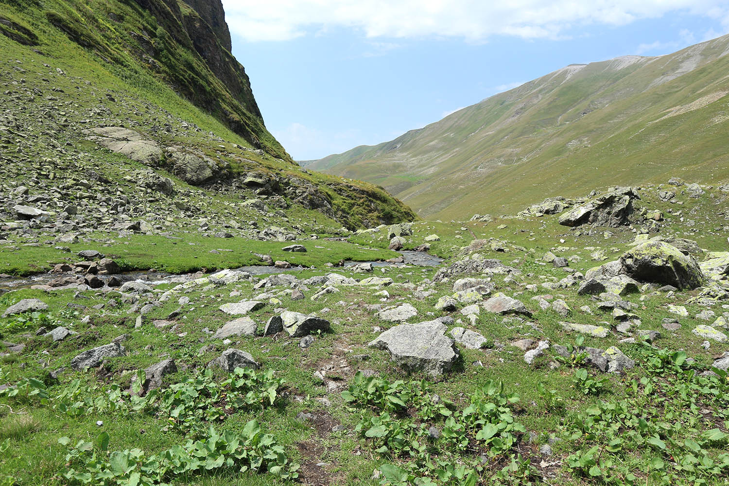 Долина реки Загедан, image of landscape/habitat.