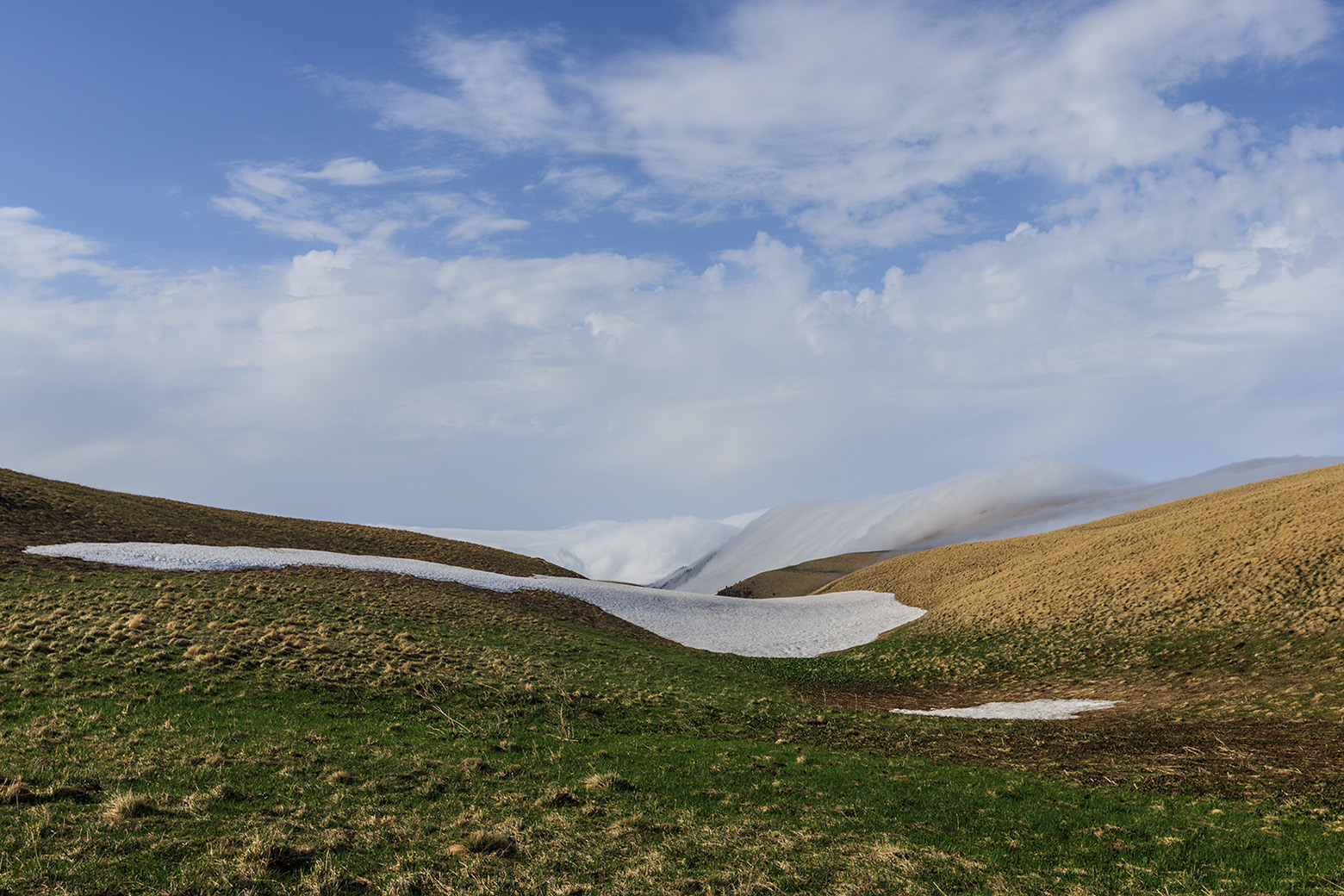 Лагонаки, image of landscape/habitat.