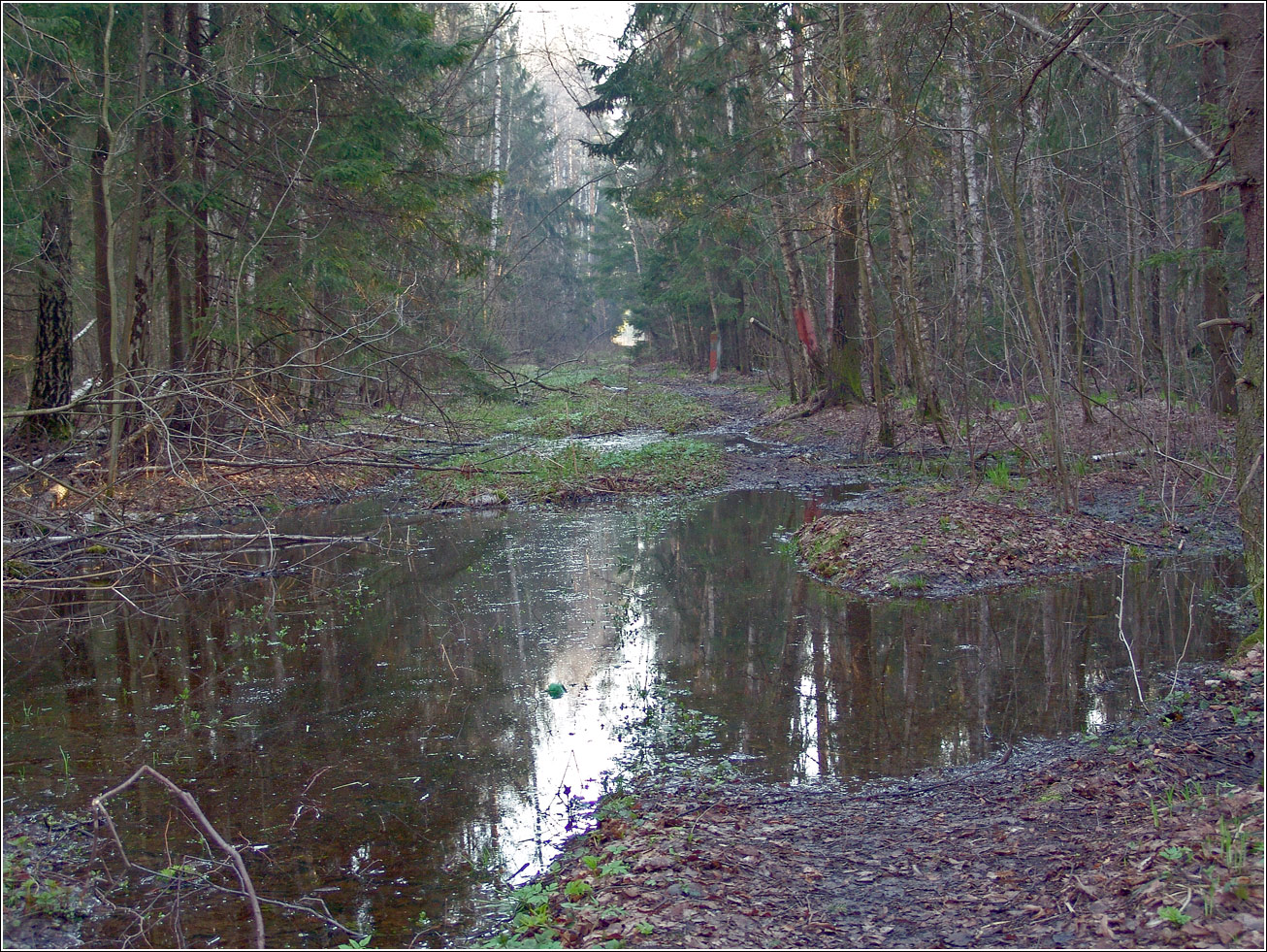 Окрестности Хрипани, image of landscape/habitat.