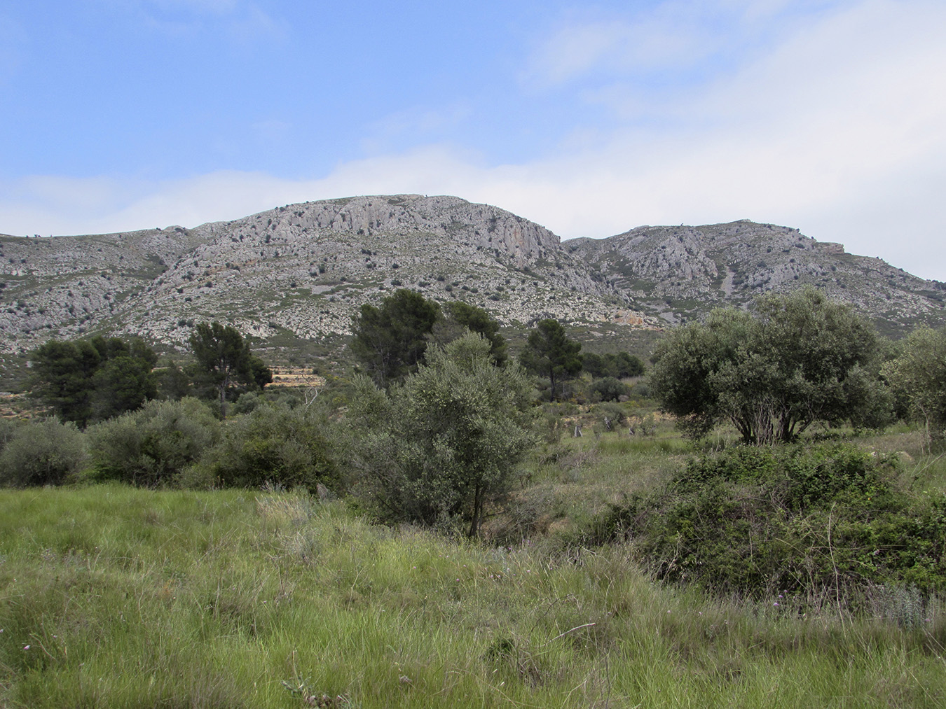 Горный массив Монгри, image of landscape/habitat.