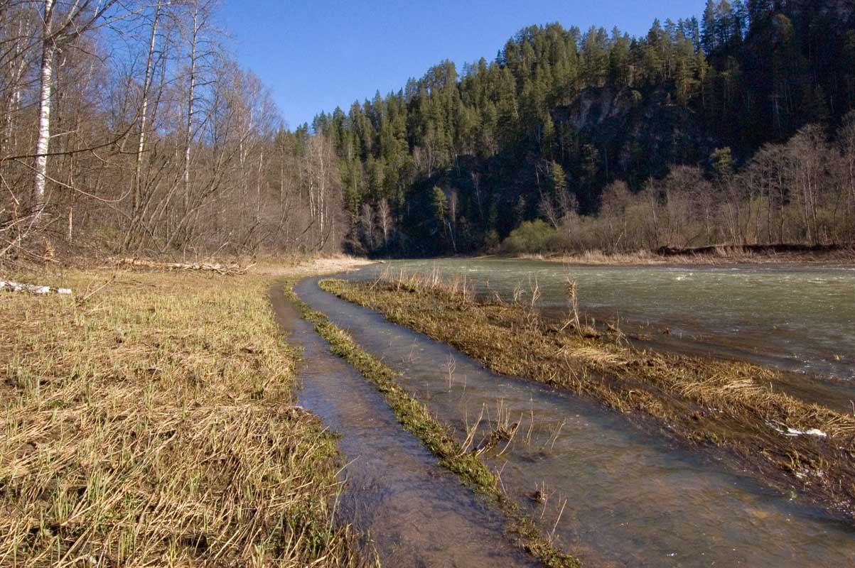 Окрестности горы Мамбет, image of landscape/habitat.