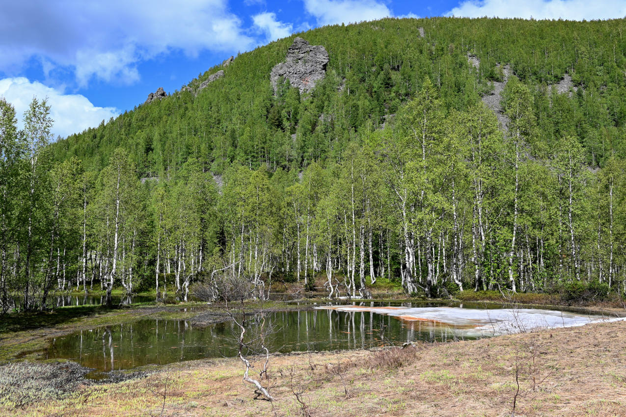 Верховья реки Правая Сарала, image of landscape/habitat.