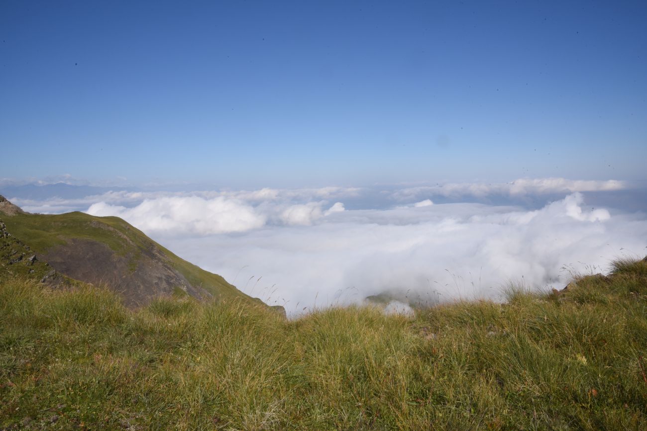 5 км от Цумандинского перевала, image of landscape/habitat.