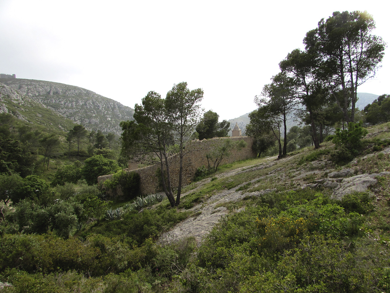 Горный массив Монгри, image of landscape/habitat.