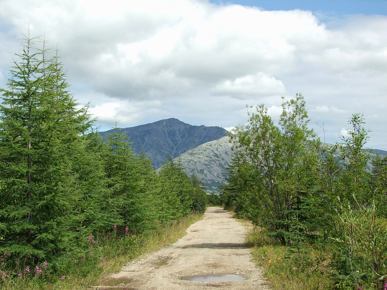 Глухое, image of landscape/habitat.