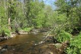 Ламошка, image of landscape/habitat.