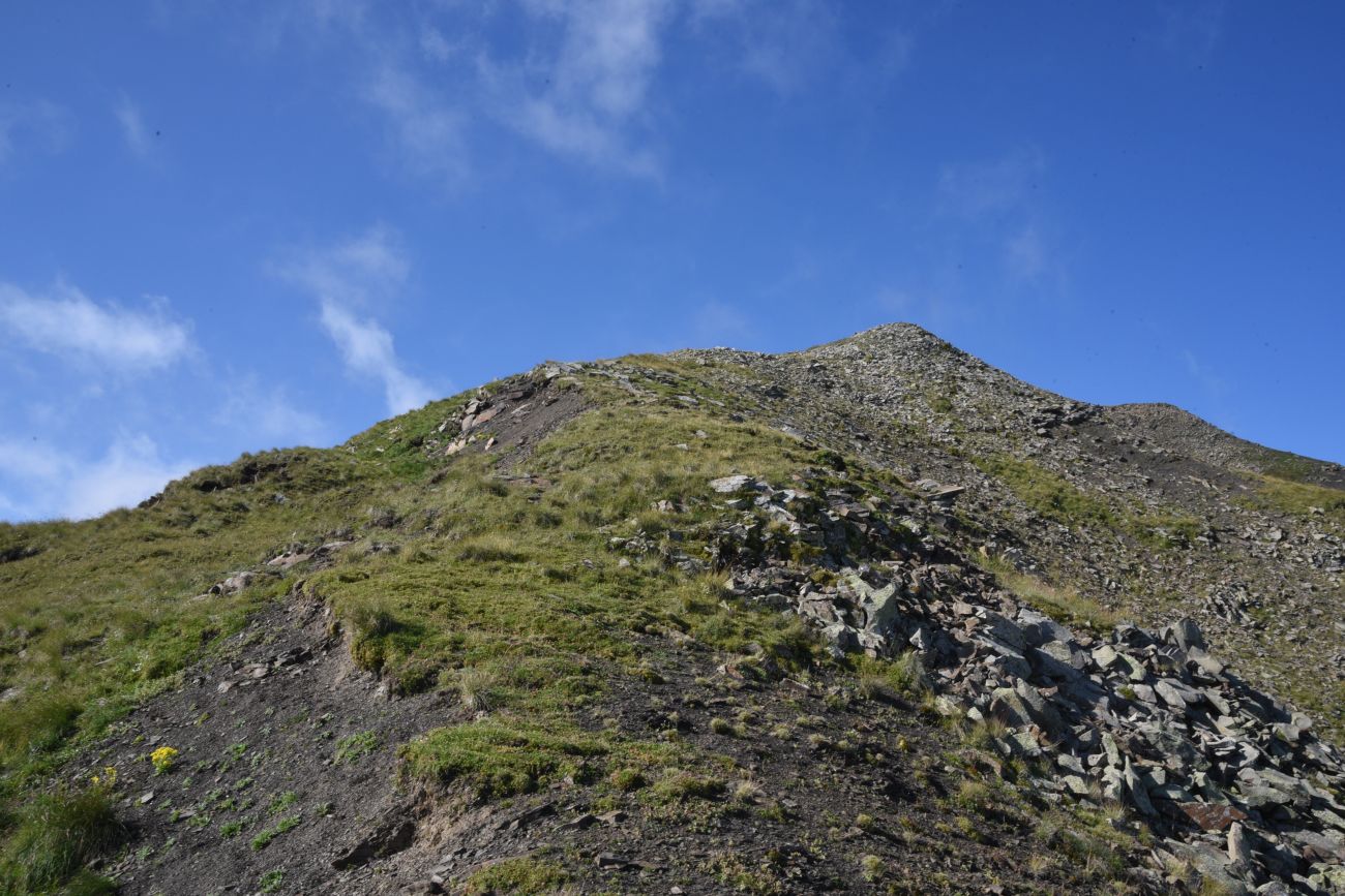 5 км от Цумандинского перевала, image of landscape/habitat.