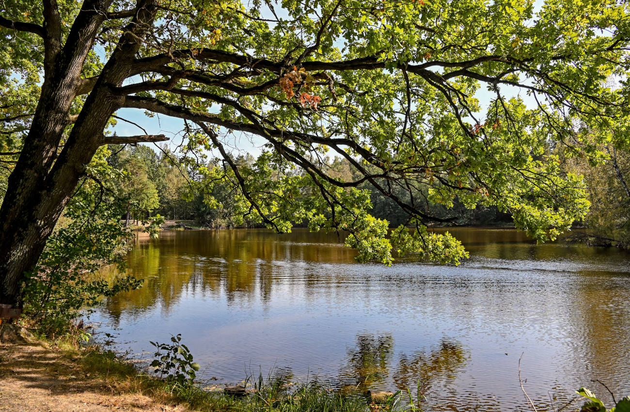 Озеро Чёрное, image of landscape/habitat.