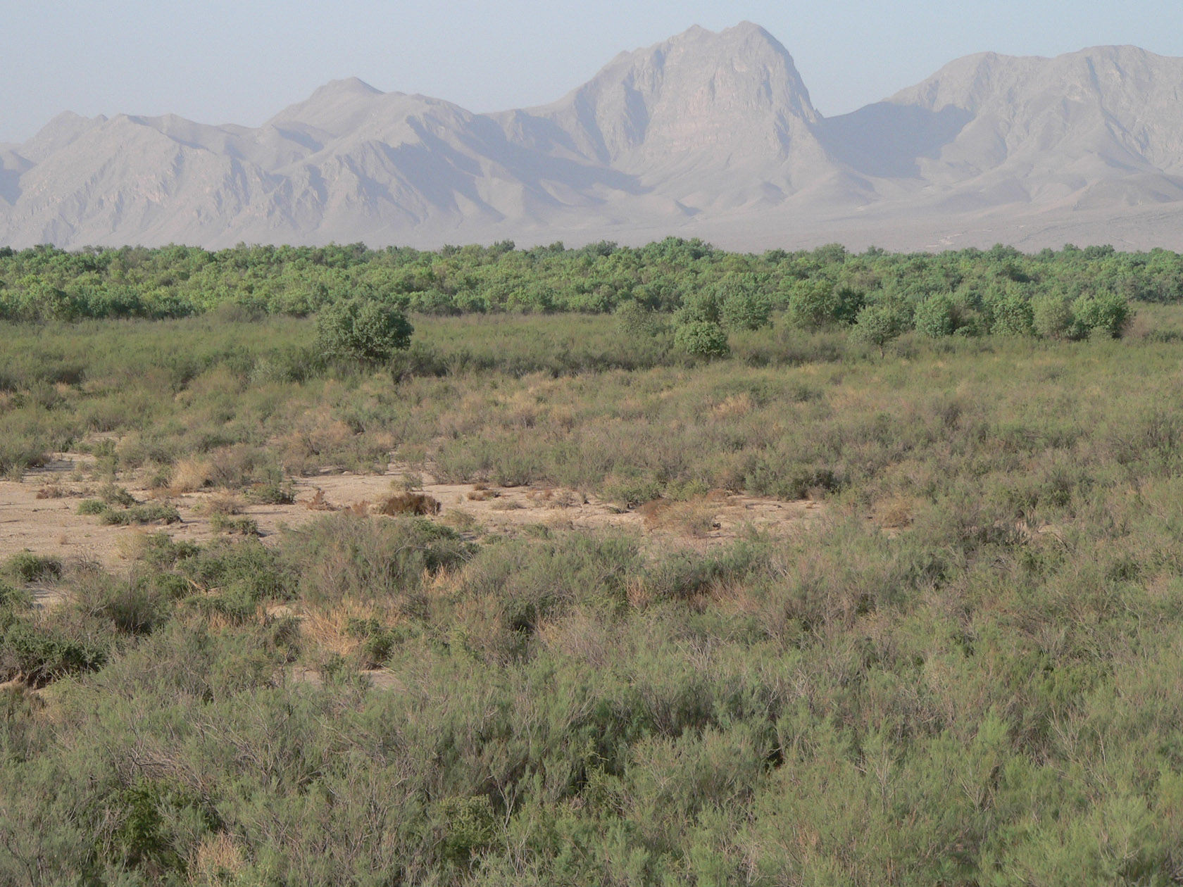 Актау, image of landscape/habitat.