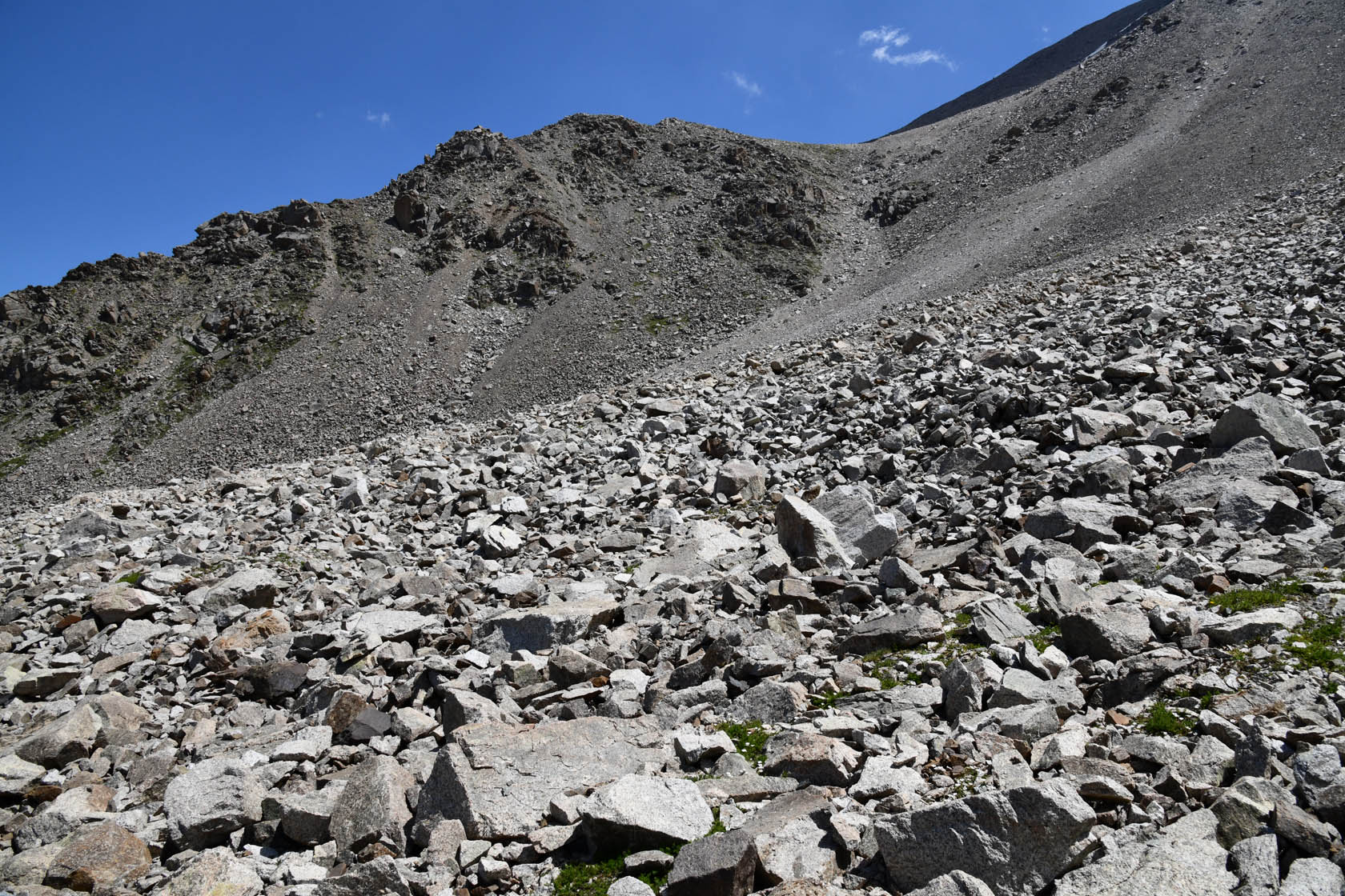 Большое Алматинское ущелье, image of landscape/habitat.